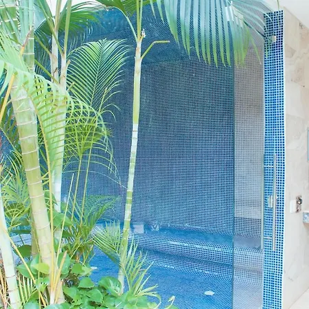 Apartamento In Beachfront Building With Pools Near Historic Center